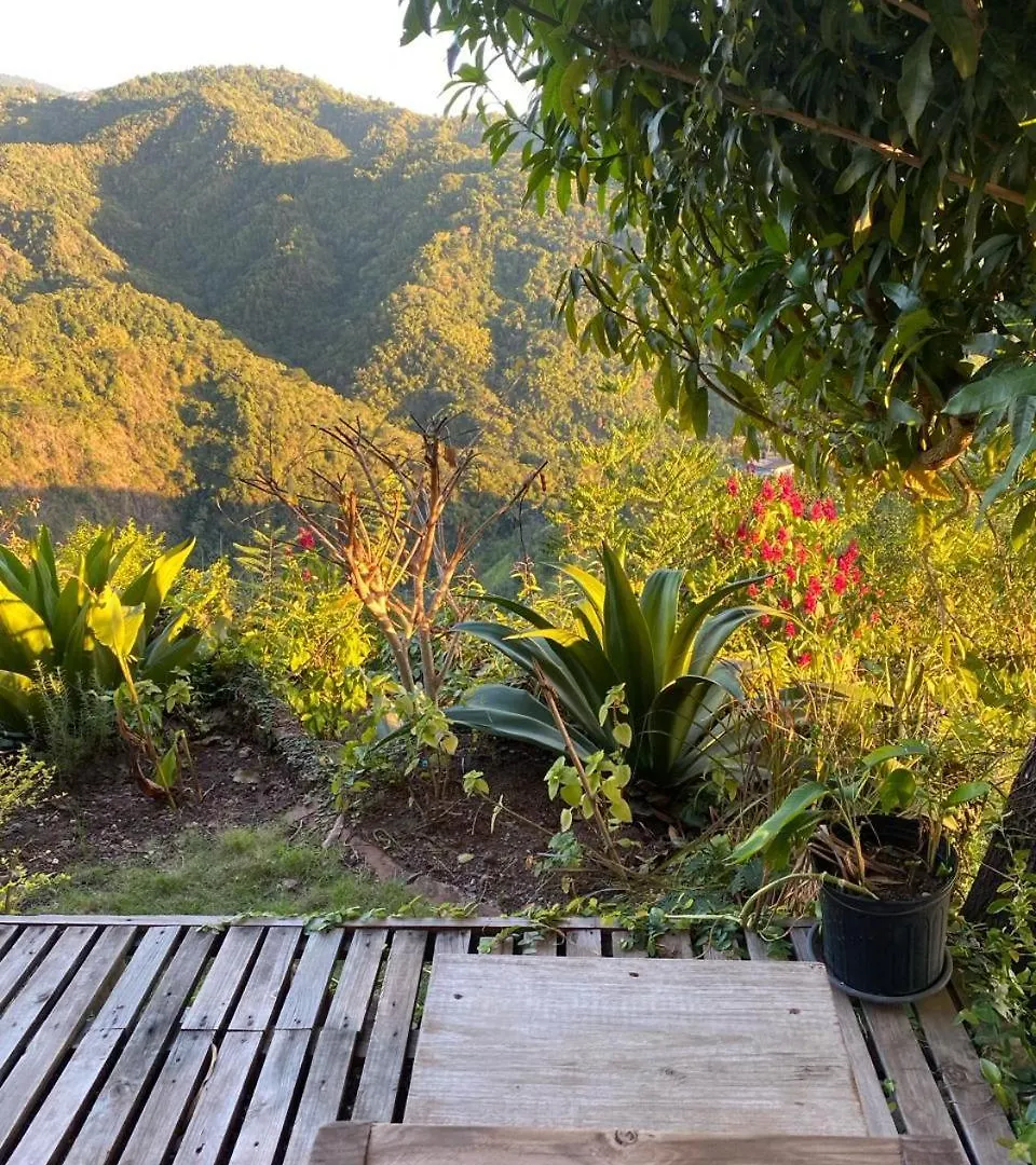 The Apartment At Tranquility Estate Kingston Jamaica